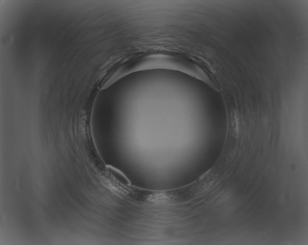 X0000052980231200507081131
