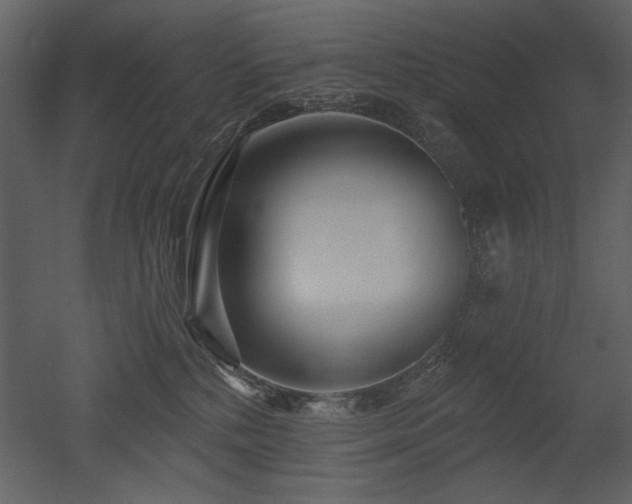 X0000052980232200507081131