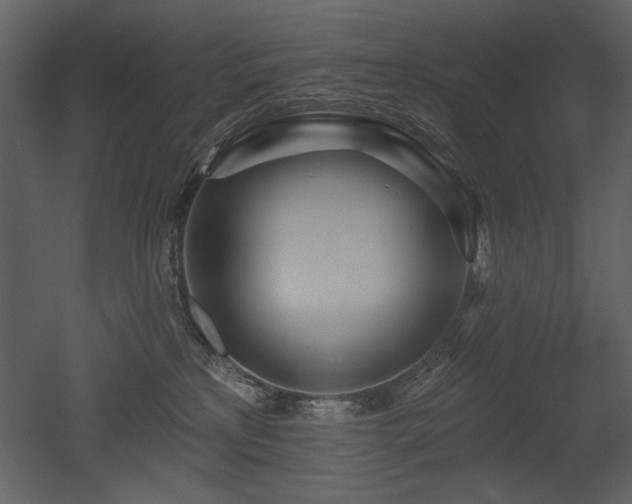 X0000052980233200507081131