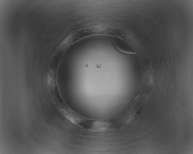 X0000052980234200507081131