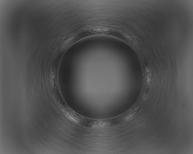 X0000052980235200507081131