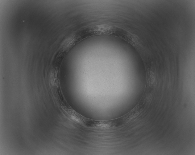 X0000052980236200507081131