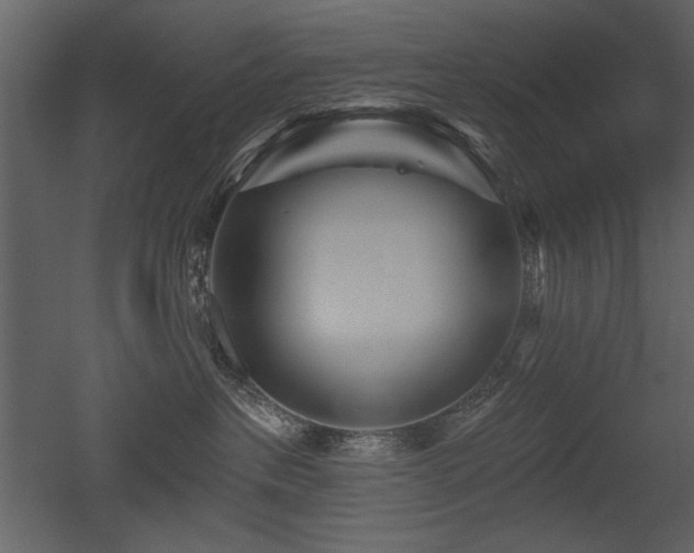 X0000052980237200507081131
