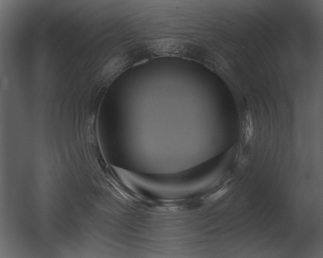 X0000052980239200507081131