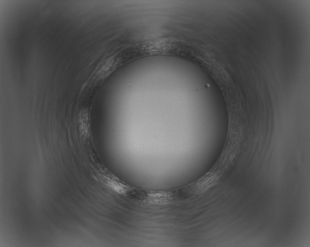 X0000052980240200507081131