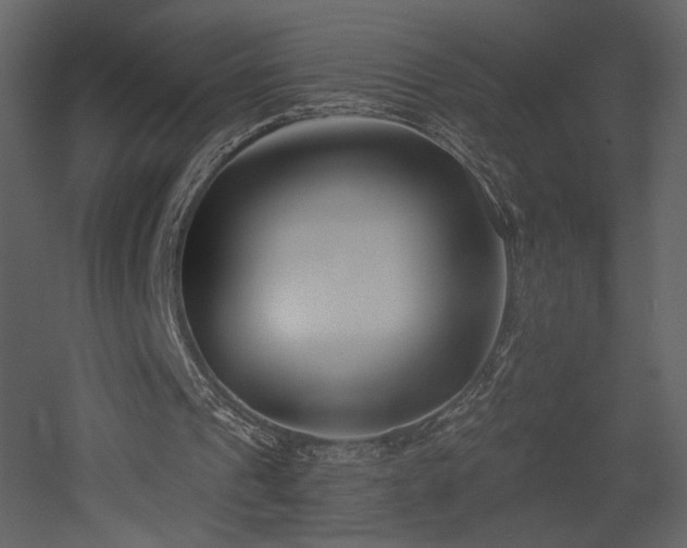 X0000052980241200507081130