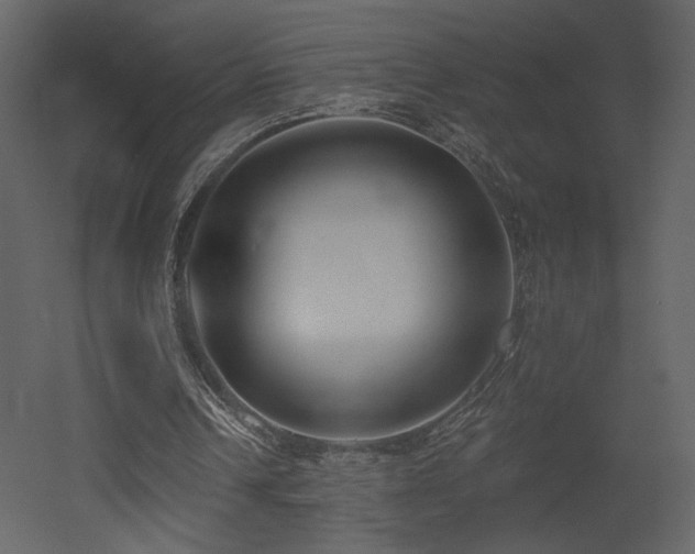 X0000052980242200507081130