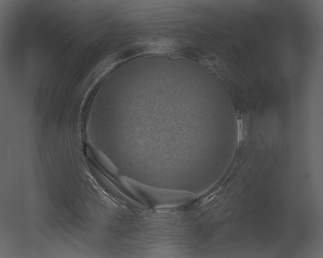 X0000052980243200507081130