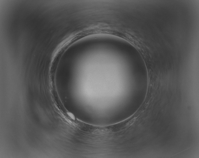 X0000052980245200507081130
