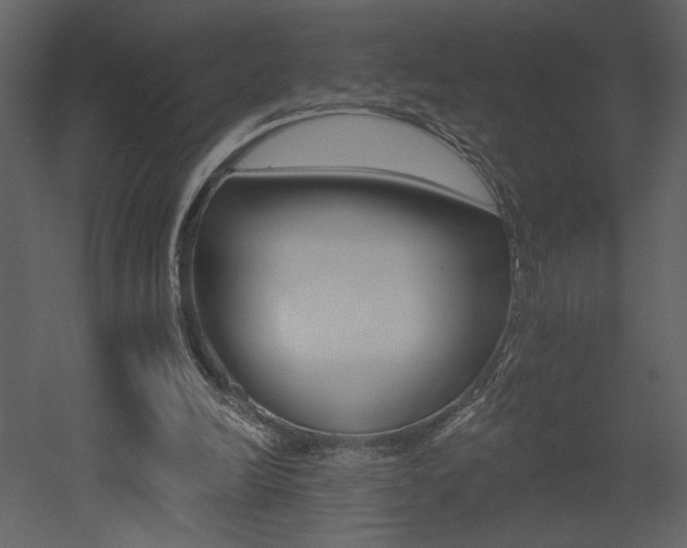 X0000052980246200507081130