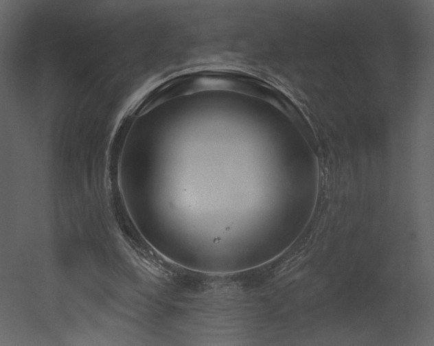 X0000052980248200507081130