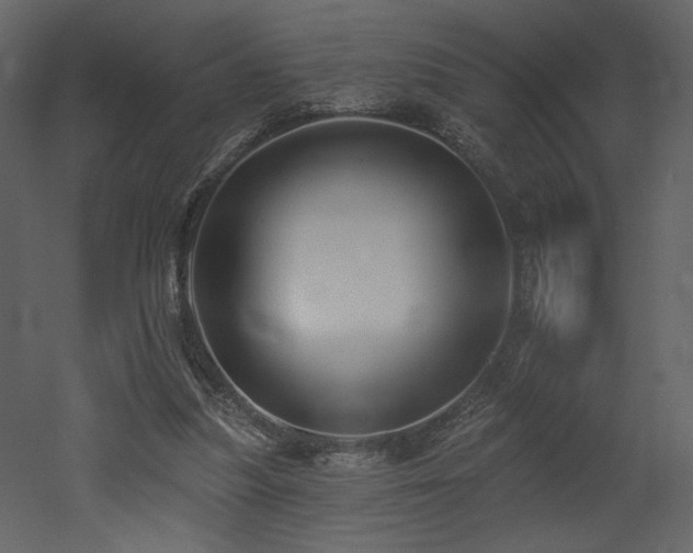 X0000052980251200507081130
