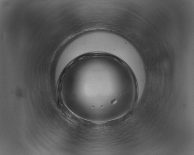 X0000052980252200507081130