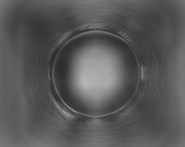 X0000052980253200507081130