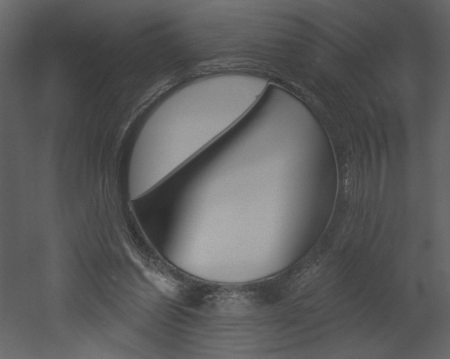 X0000052980254200507081130
