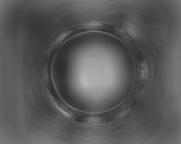 X0000052980255200507081130