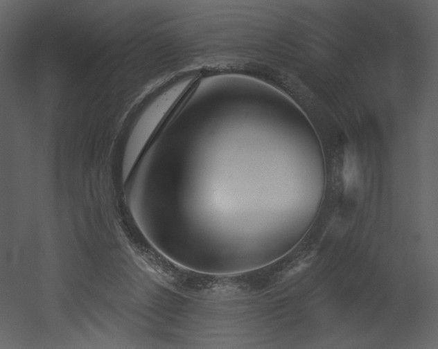 X0000052980256200507081130