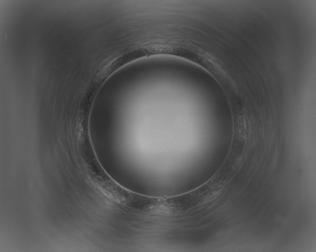 X0000052980259200507081130