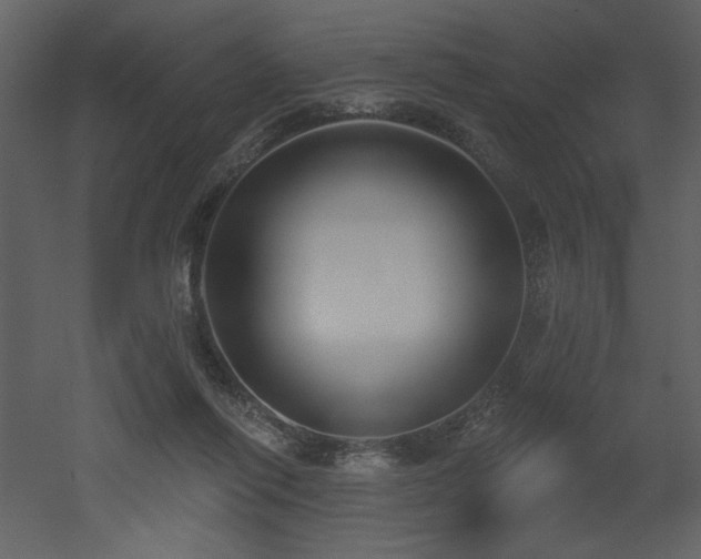 X0000052980262200507081130