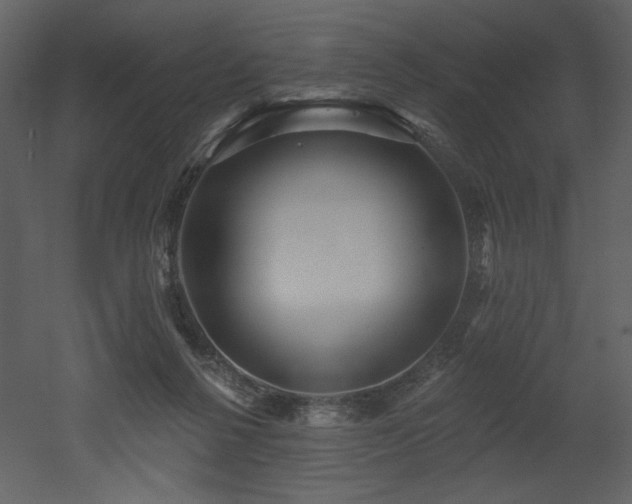 X0000052980264200507081130