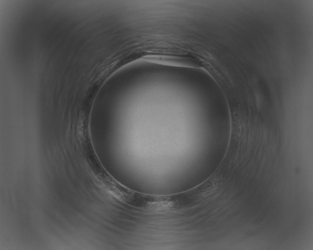 X0000052980266200507081130