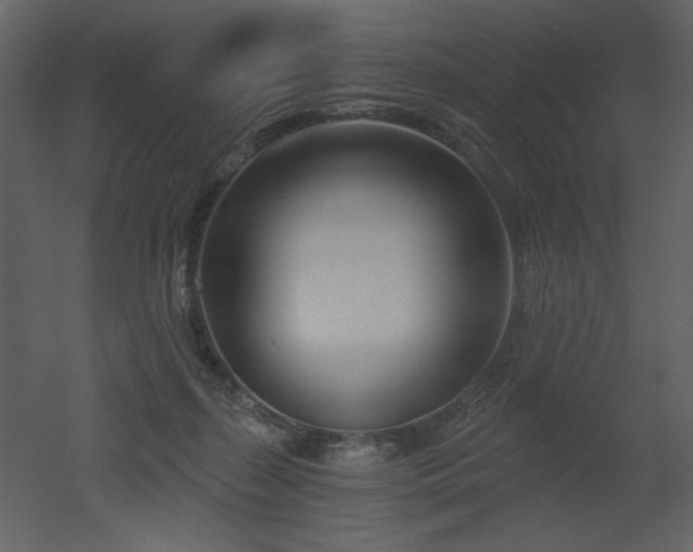 X0000052980267200507081130