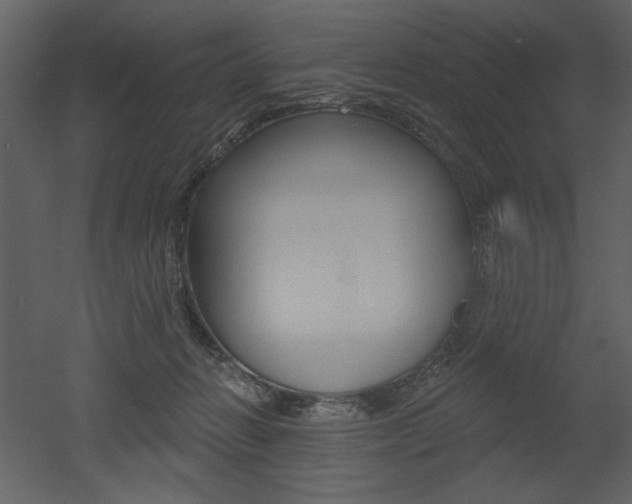 X0000052980270200507081130