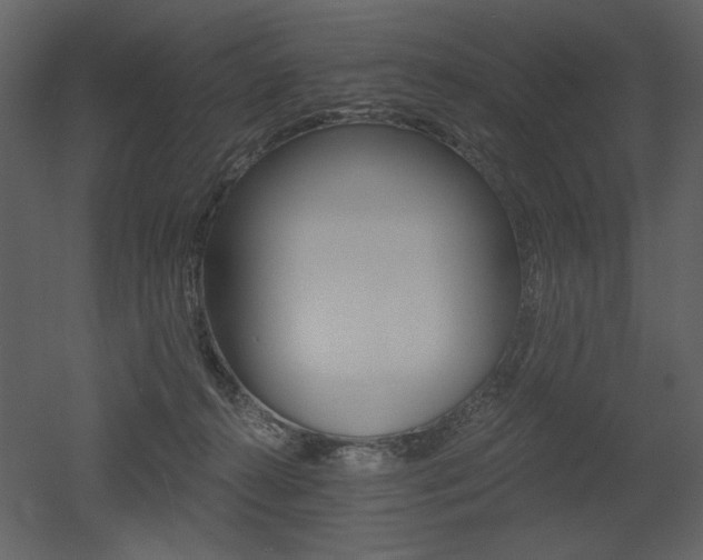 X0000052980272200507081131