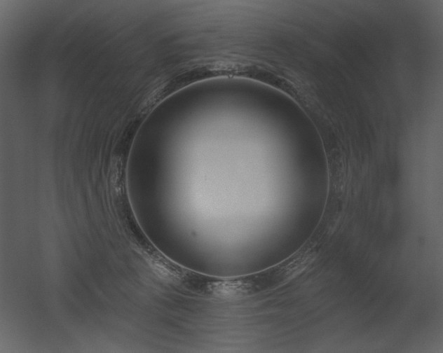 X0000052980273200507081131
