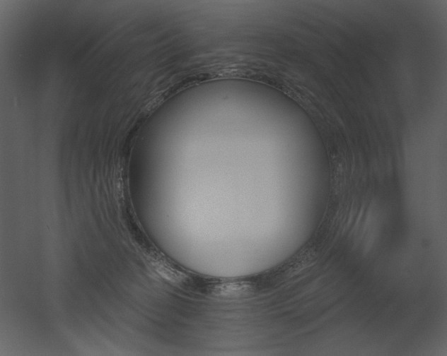 X0000052980274200507081131