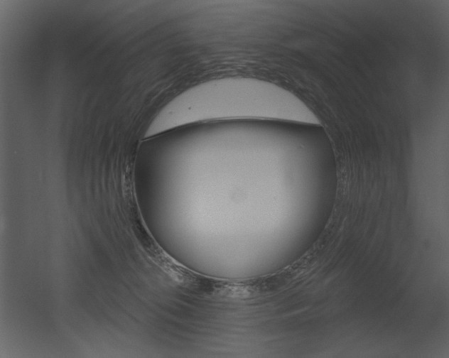 X0000052980276200507081131