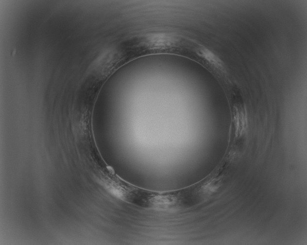 X0000052980277200507081131