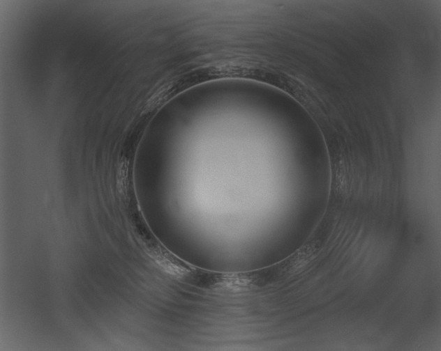 X0000052980278200507081131