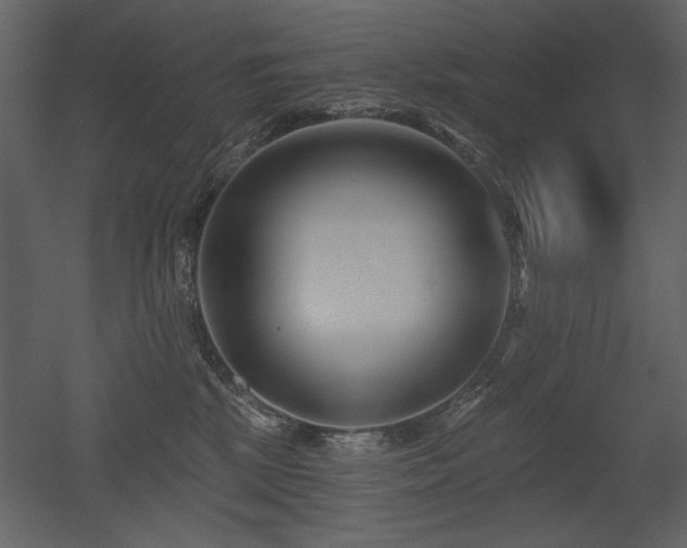 X0000052980281200507081131