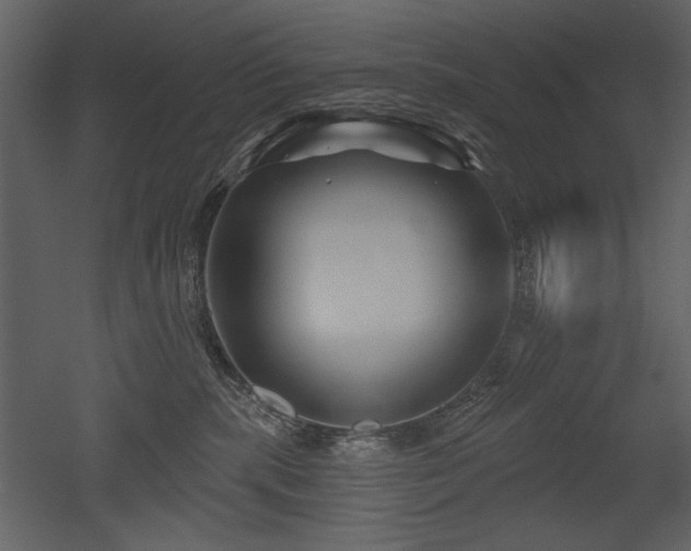 X0000052980283200507081131