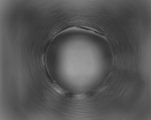 X0000052980286200507081131