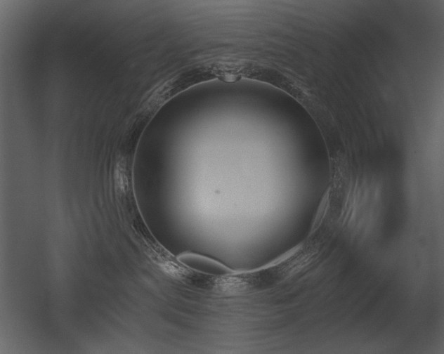 X0000052980287200507081131