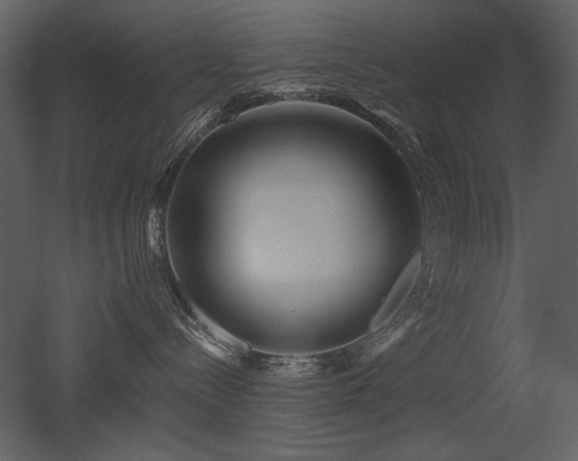 X0000052980288200507081131