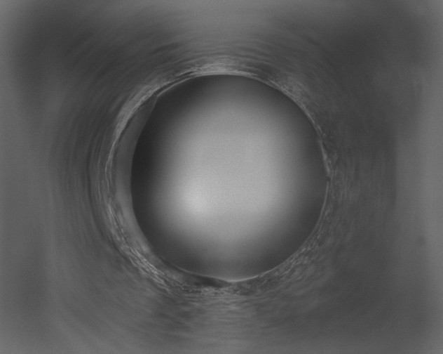 X0000052980289200507081130