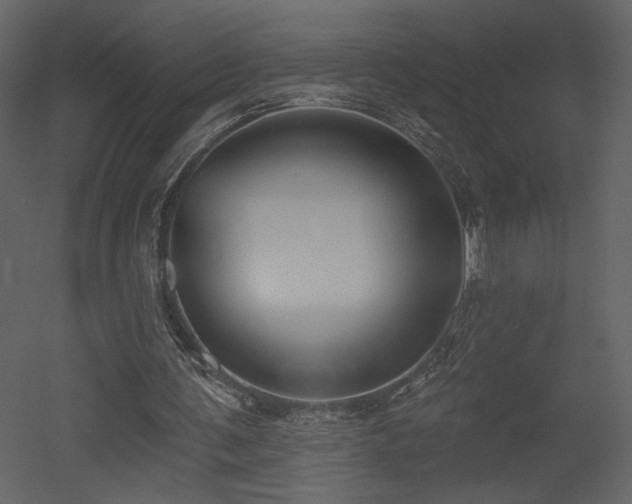 X0000052980291200507081130