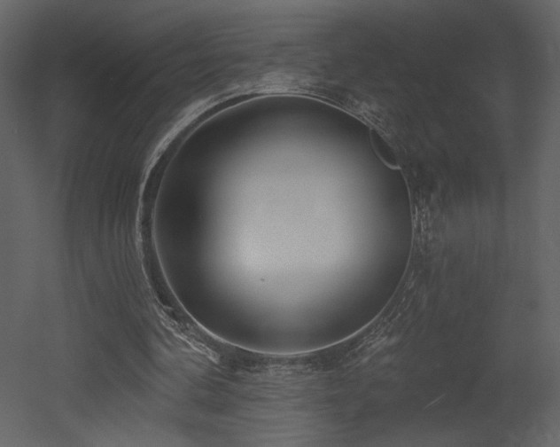X0000052980292200507081130