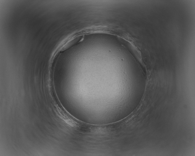 X0000052980293200507081130