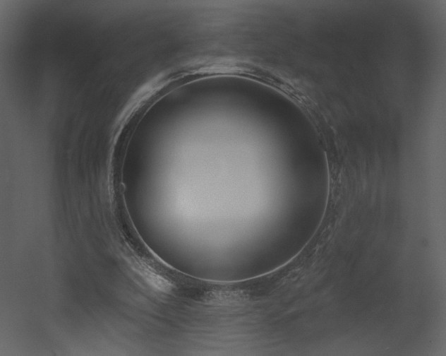 X0000052980296200507081130
