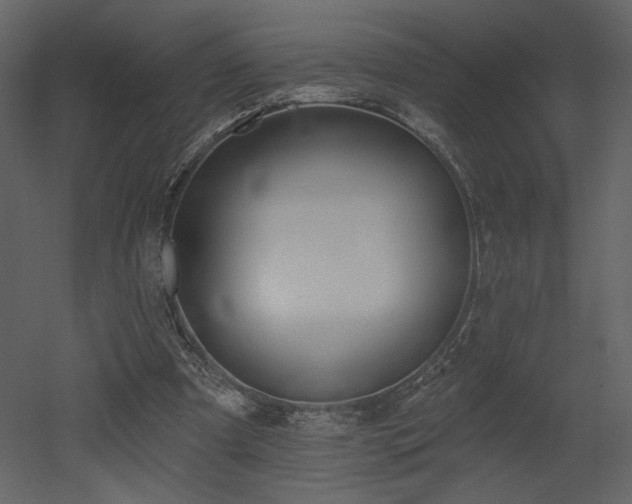 X0000052980297200507081130