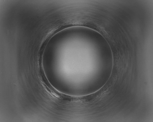 X0000052980299200507081130