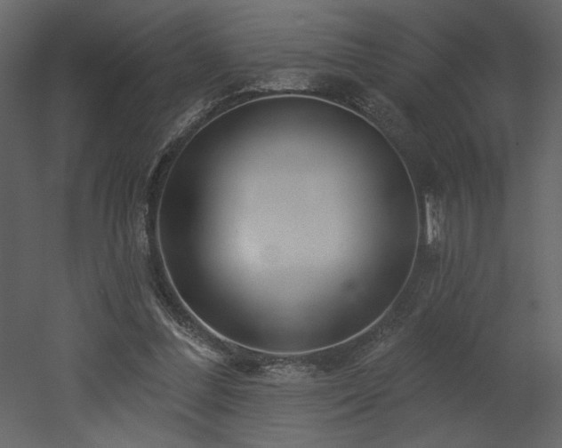 X0000052980300200507081130