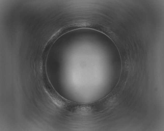 X0000052980304200507081130