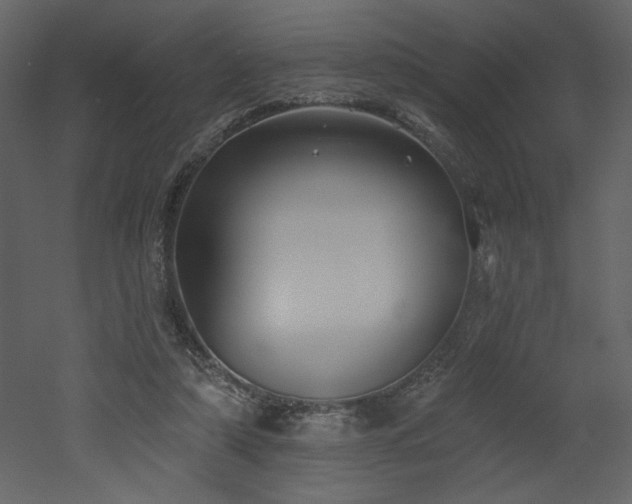 X0000052980306200507081130