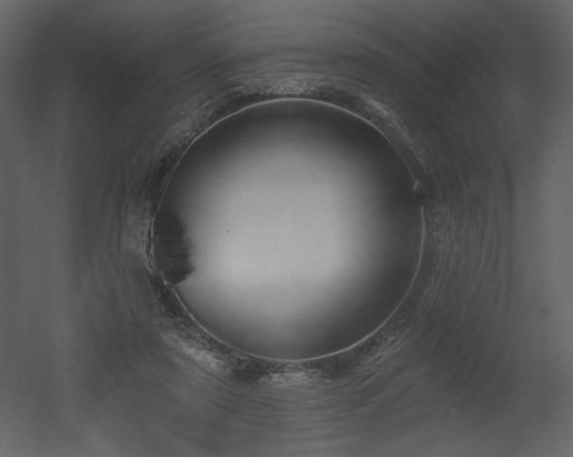 X0000052980307200507081130