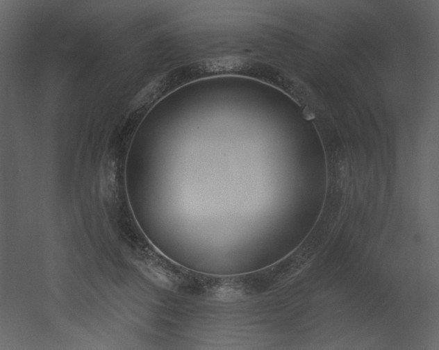 X0000052980308200507081130